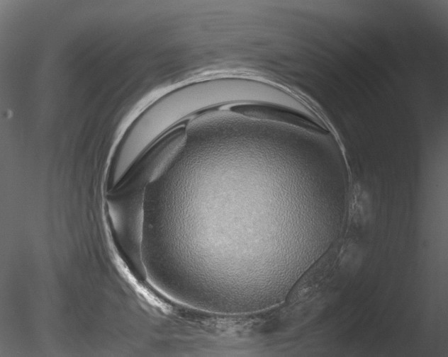 X0000085841005200703161346