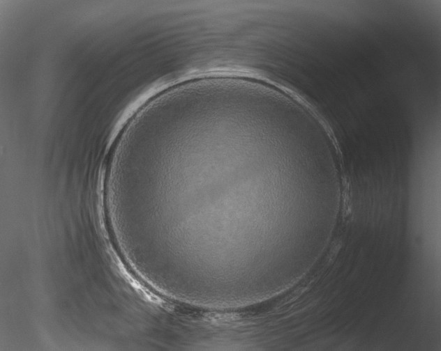X0000085841006200703161346