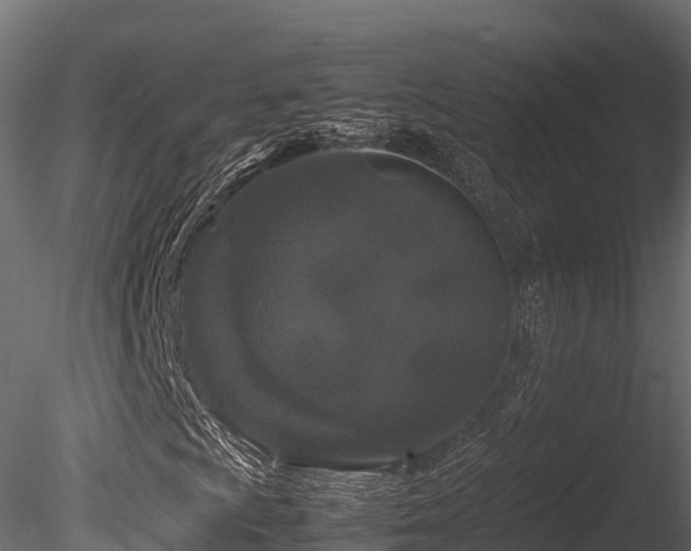 X0000085841009200703161345
