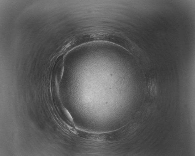 X0000085841012200703161345