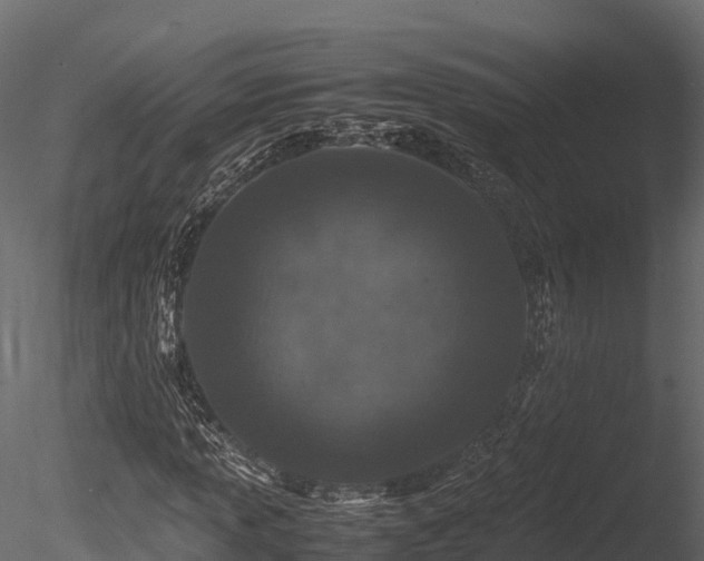 X0000085841013200703161345