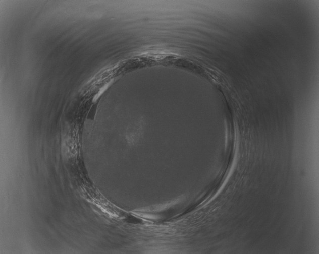 X0000085841014200703161345