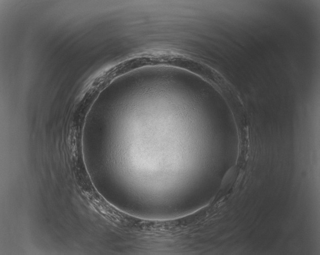 X0000085841016200703161345
