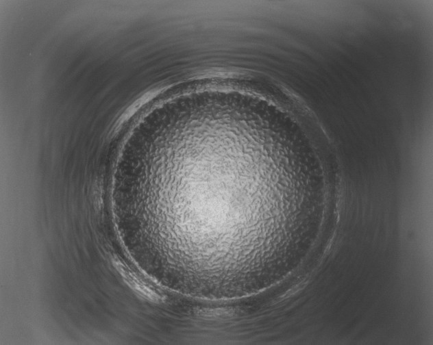 X0000085841017200703161345