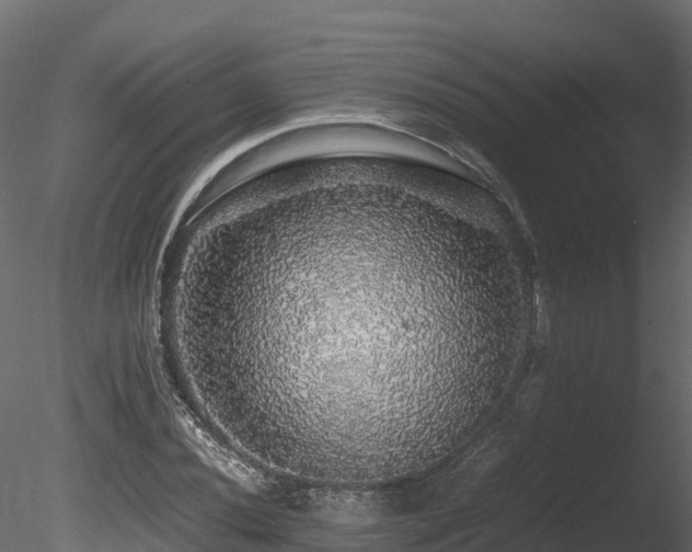 X0000085841020200703161345