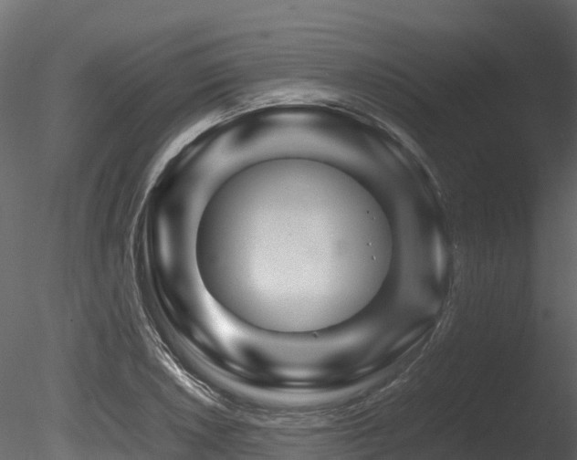 X0000085841026200703161345