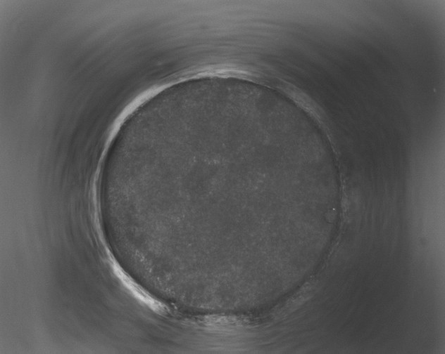 X0000085841032200703161345