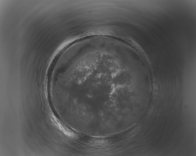 X0000085841035200703161345