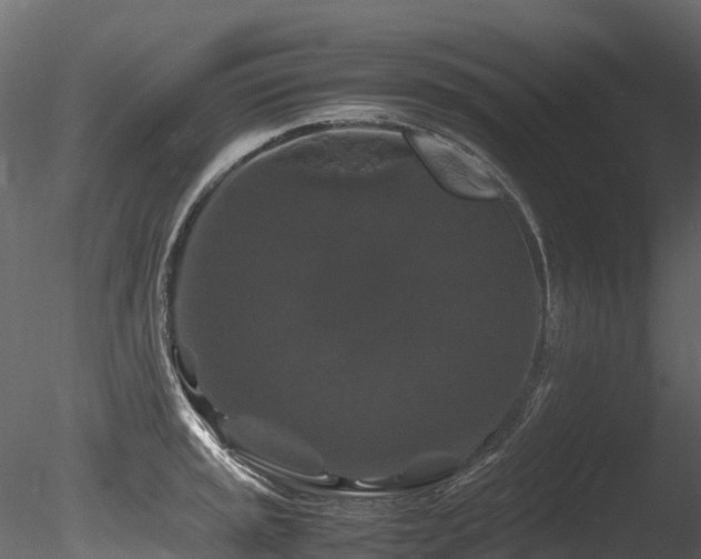 X0000085841045200703161345