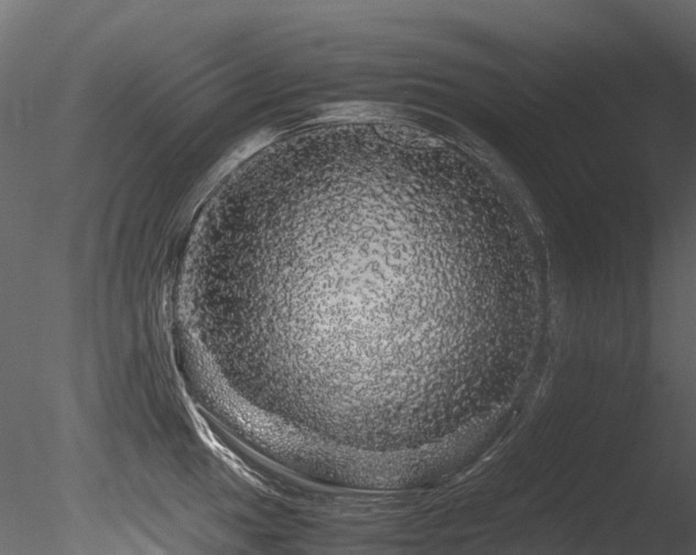 X0000085841049200703161345