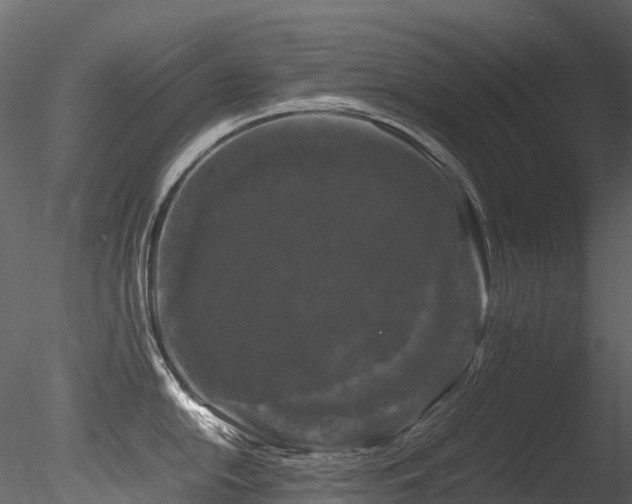 X0000085841054200703161346