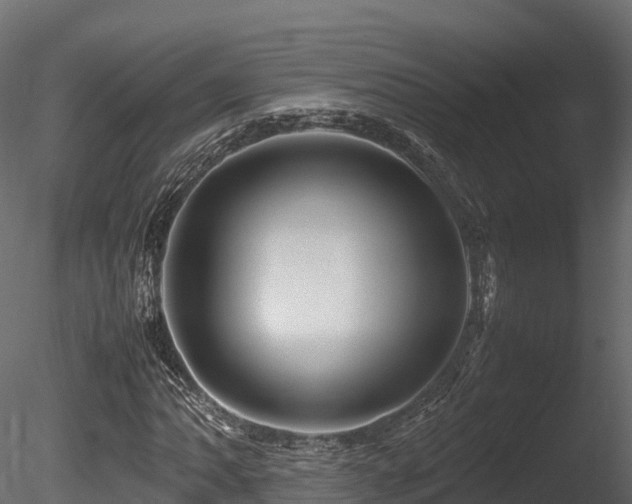 X0000085841062200703161345