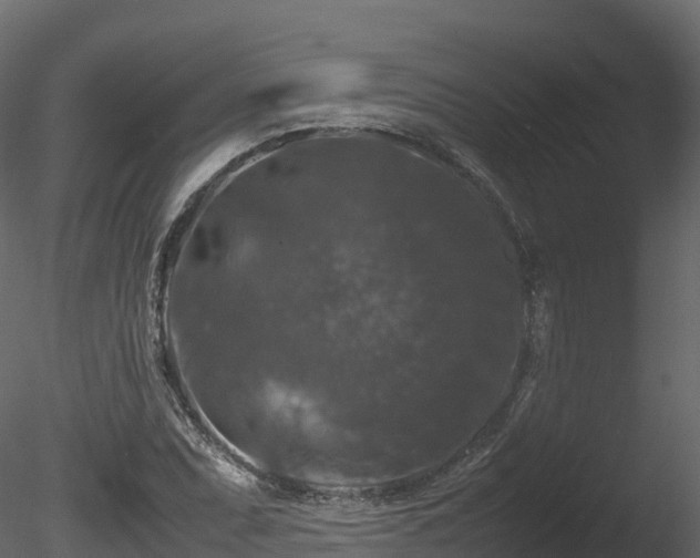 X0000085841071200703161344