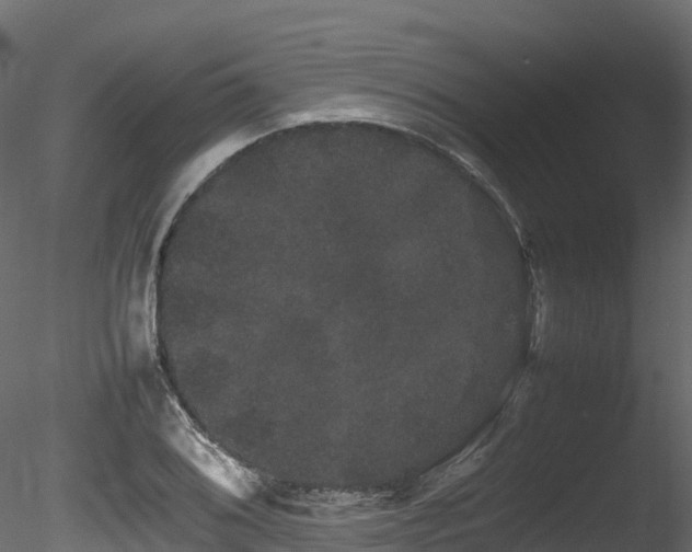 X0000085841076200703161344