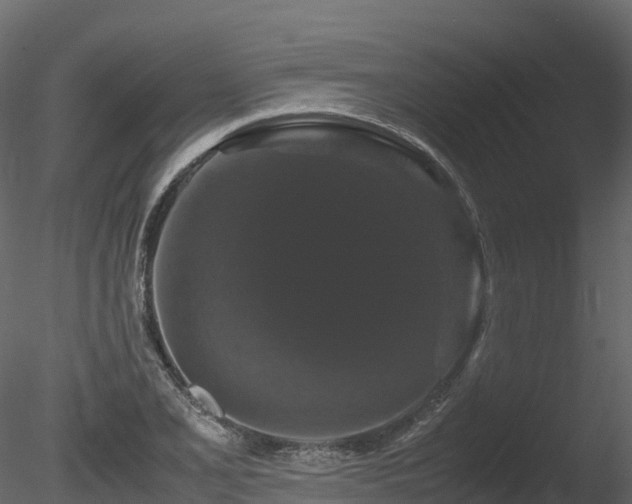 X0000085841077200703161344