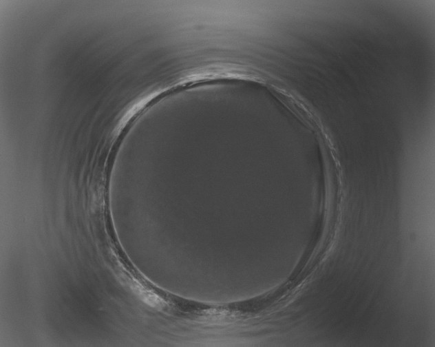 X0000085841081200703161344