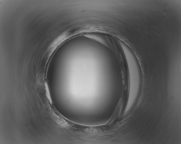 X0000085841089200703161344