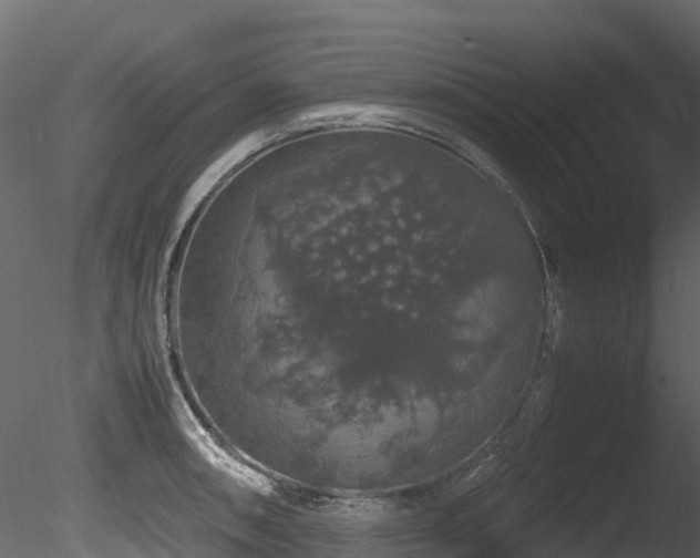 X0000085841090200703161344