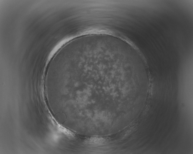 X0000085841094200703161344