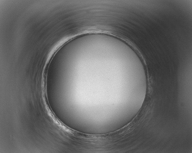 X0000085841096200703161344