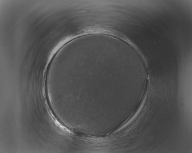 X0000085841102200703161344