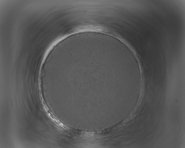 X0000085841104200703161344