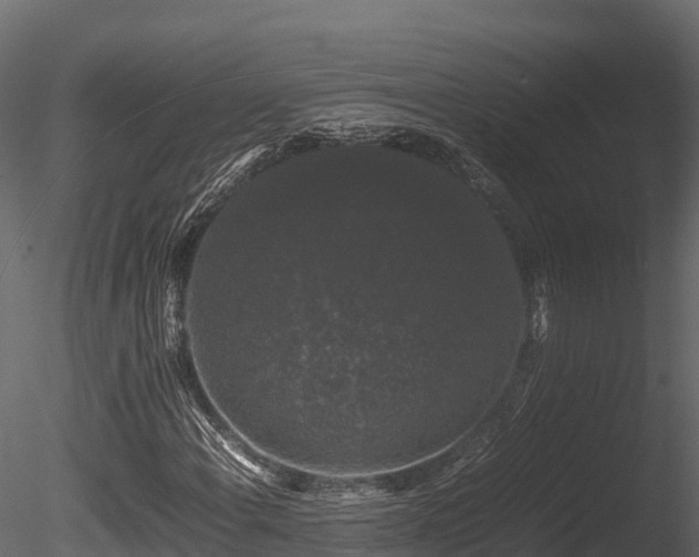 X0000085841108200703161343
