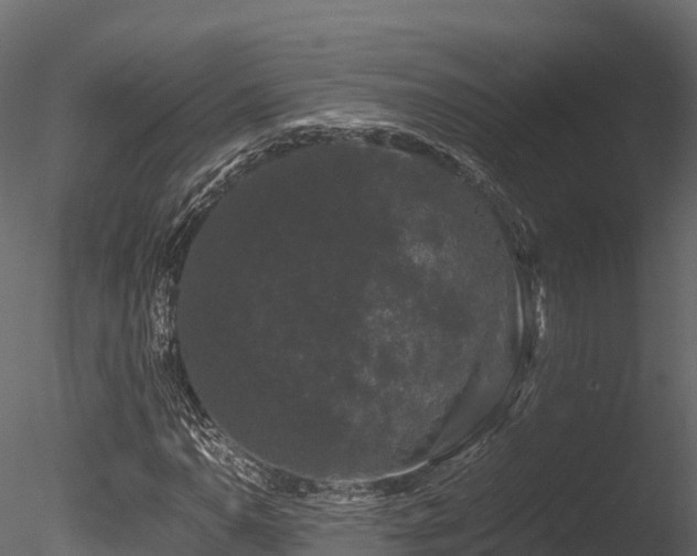 X0000085841110200703161343