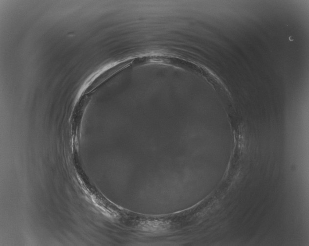 X0000085841117200703161343
