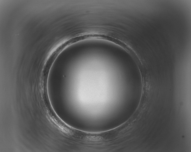 X0000085841119200703161343