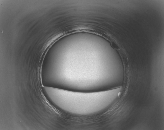 X0000085841121200703161343