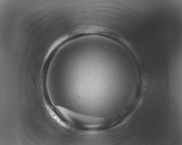 X0000085841122200703161343