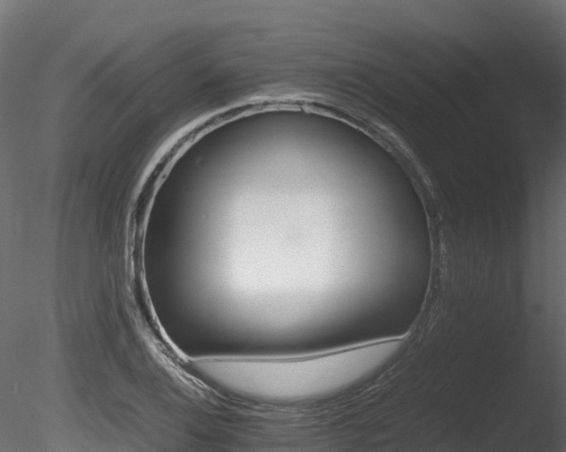 X0000085841124200703161343