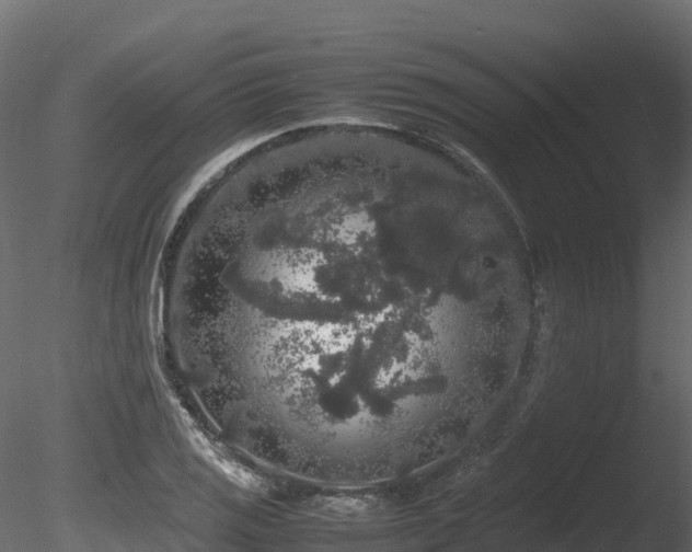 X0000085841125200703161343