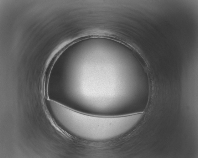 X0000085841128200703161343