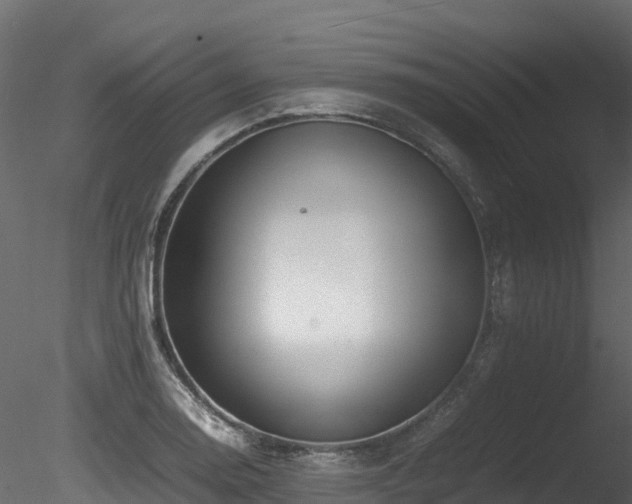 X0000085841130200703161343