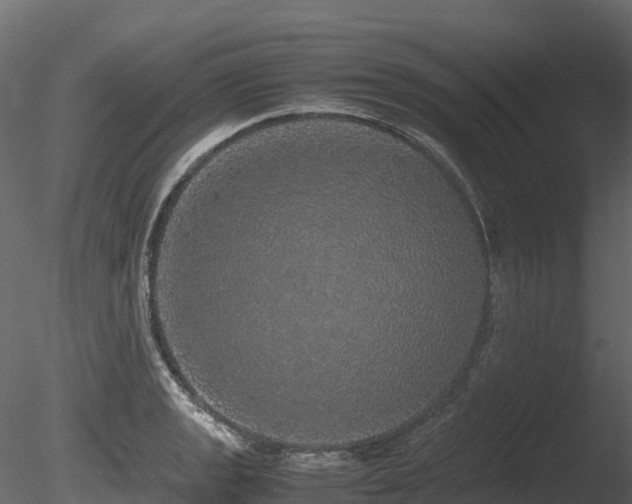 X0000085841133200703161344