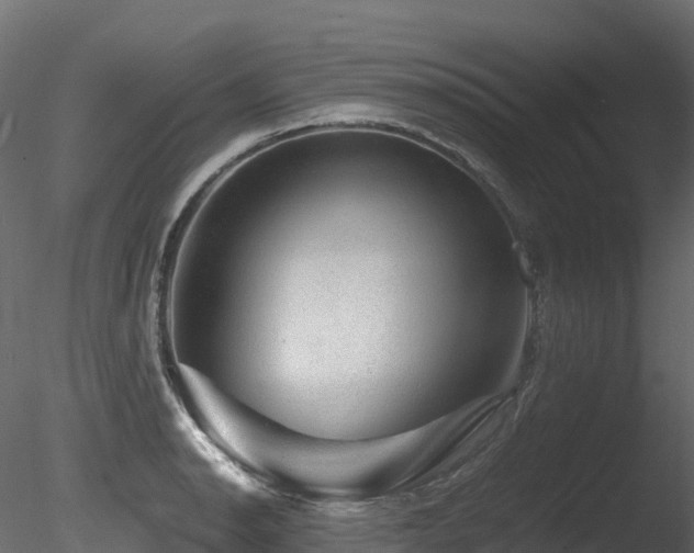 X0000085841134200703161344