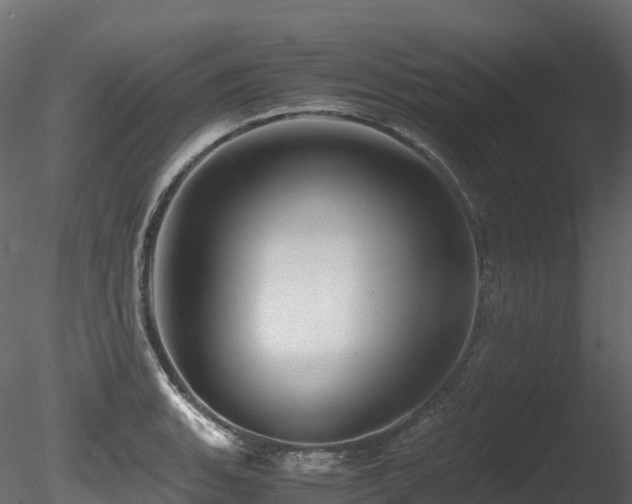 X0000085841135200703161344