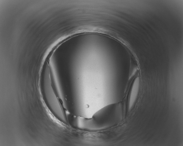 X0000085841136200703161344