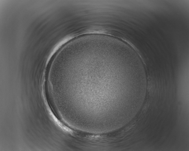 X0000085841139200703161344