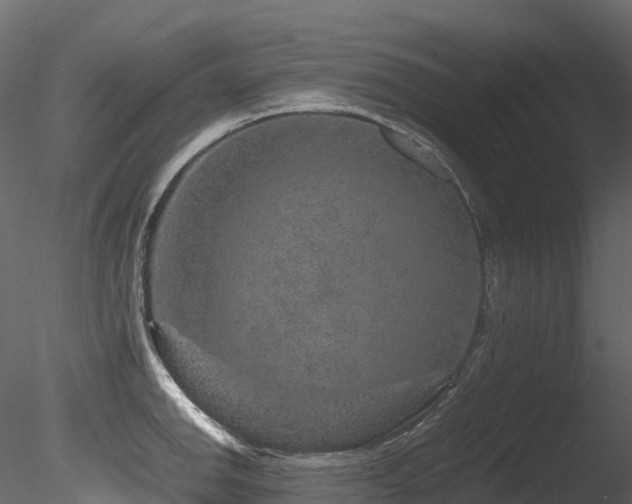 X0000085841142200703161344