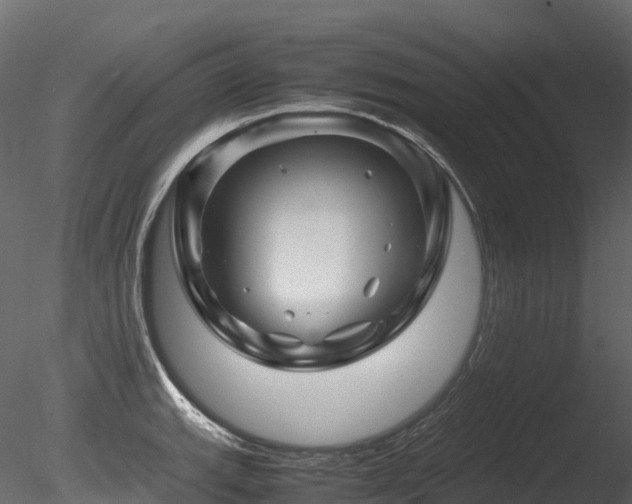 X0000085841143200703161344