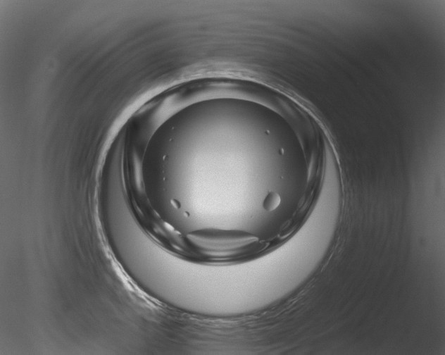 X0000085841144200703161344