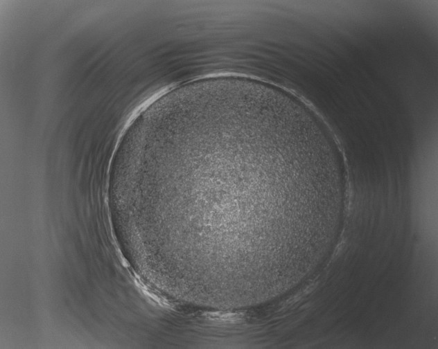 X0000085841145200703161344