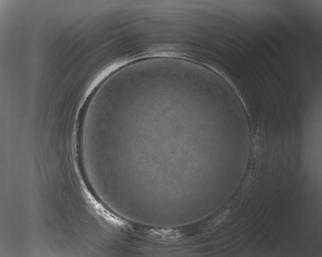 X0000085841147200703161344