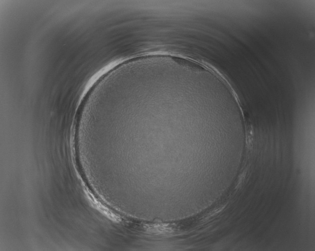 X0000085841149200703161344