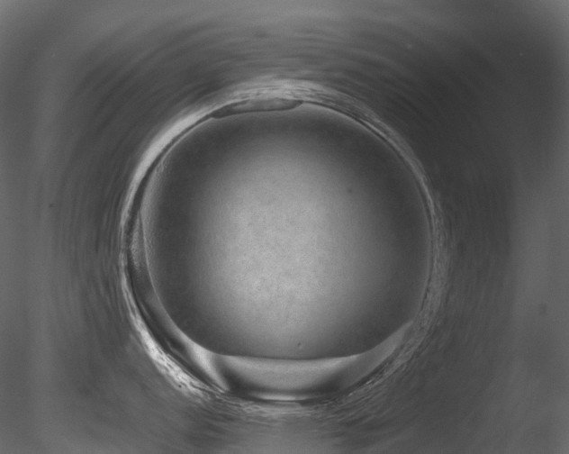X0000085841152200703161344