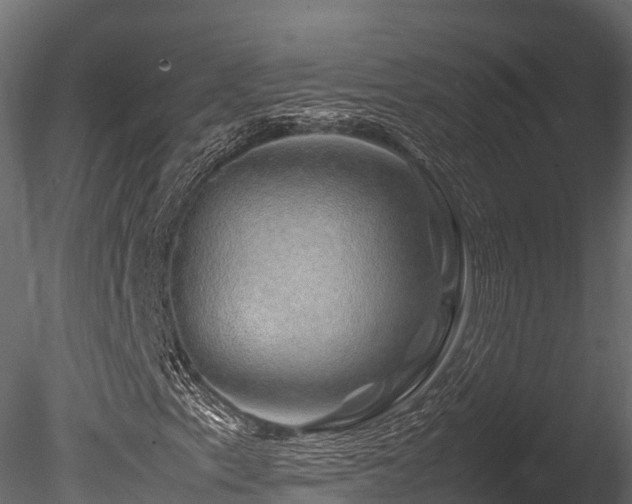 X0000085841153200703161343