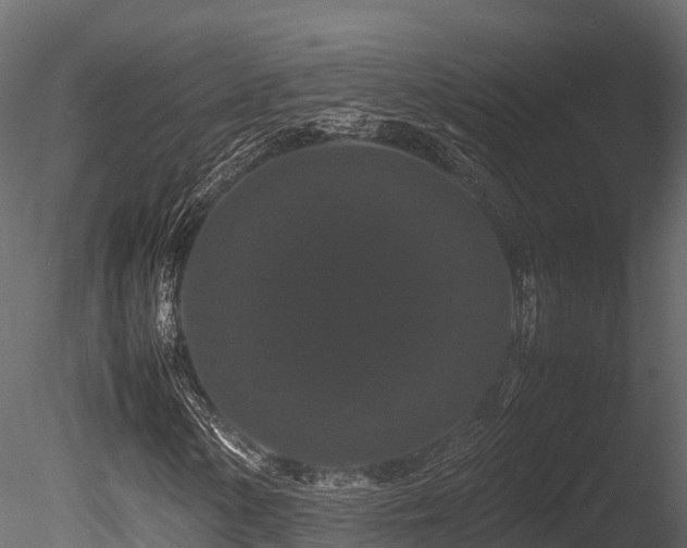 X0000085841154200703161343